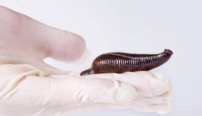 leek cream to increase the member