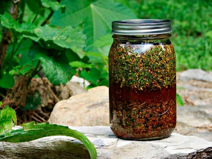 The decoction of wormwood increases the size of the male genitalia